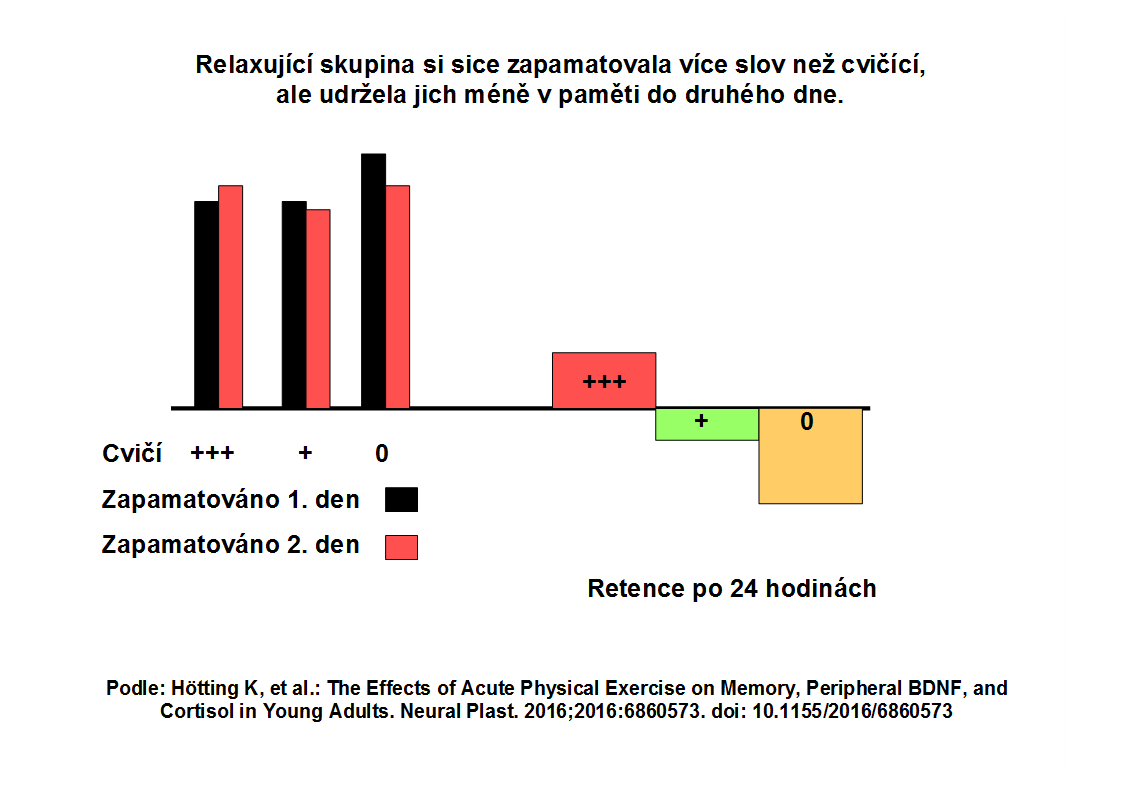 hoonzak cvic 1