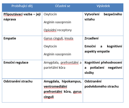 honzak tab