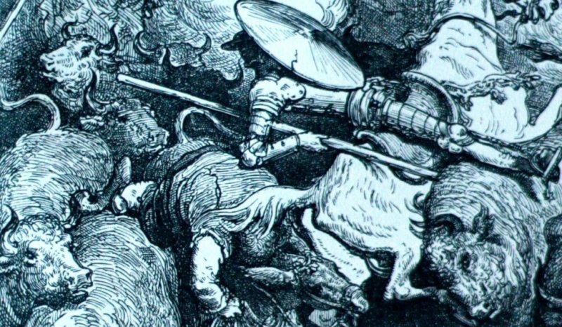 kasuistika_410_web