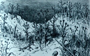 praxe_konstelace_410_web